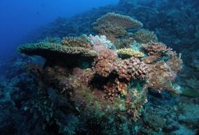 Northern wrecks and reefs